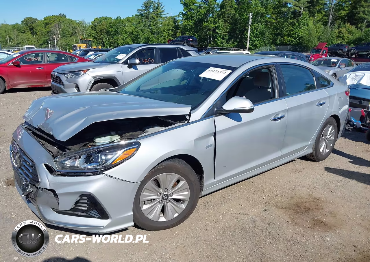 2019 Hyundai Sonata Hybrid Se VIN:KMHE24L39KA091775 - 2