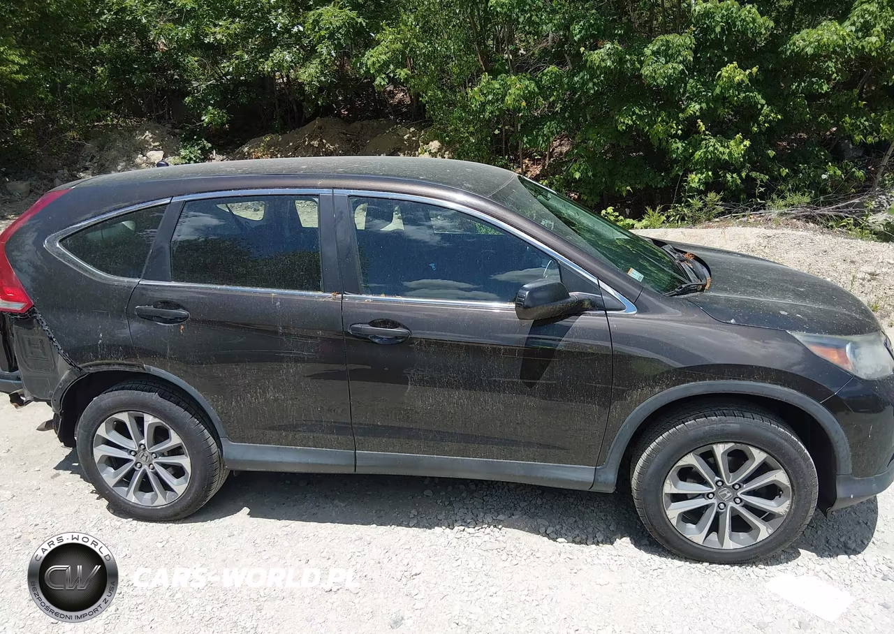 2014 Honda Cr-V Lx VIN:2HKRM4H37EH647507 - 14