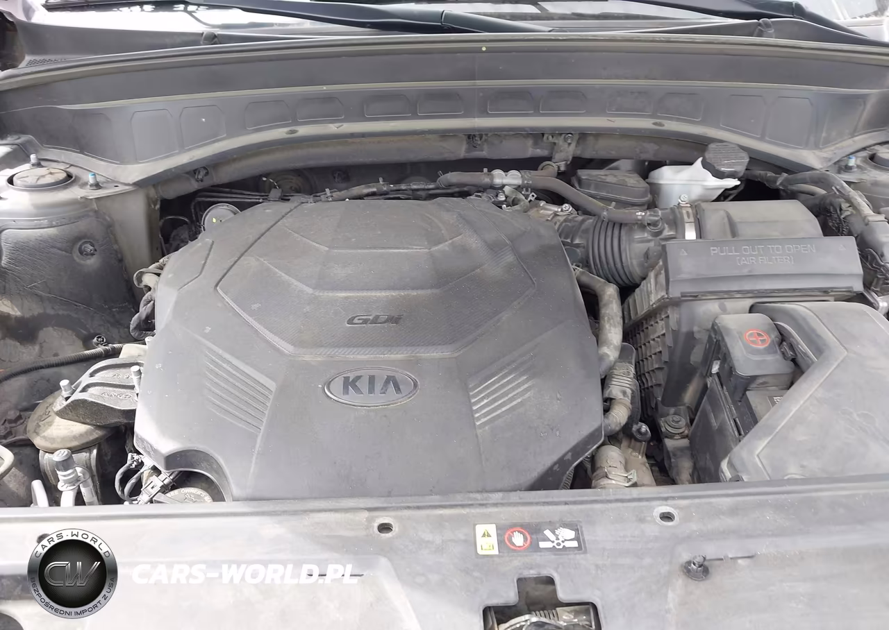 2021 Kia Telluride S VIN:5XYP64HC7MG119019 - 10