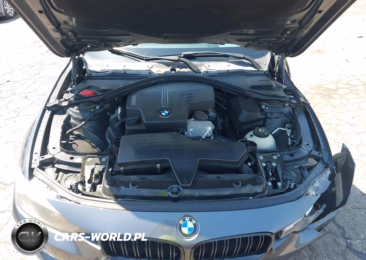 2015 BMW 320I VIN:WBA3B1C53FK137223 - 10