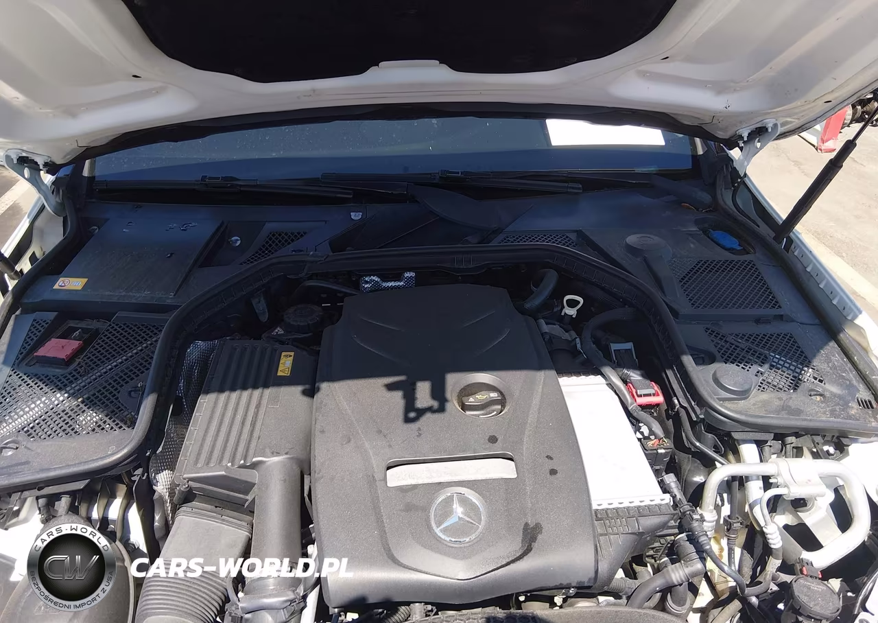 2015 Mercedes-Benz C 300 Luxury 4Matic VIN:55SWF4KB0FU015170 - 10