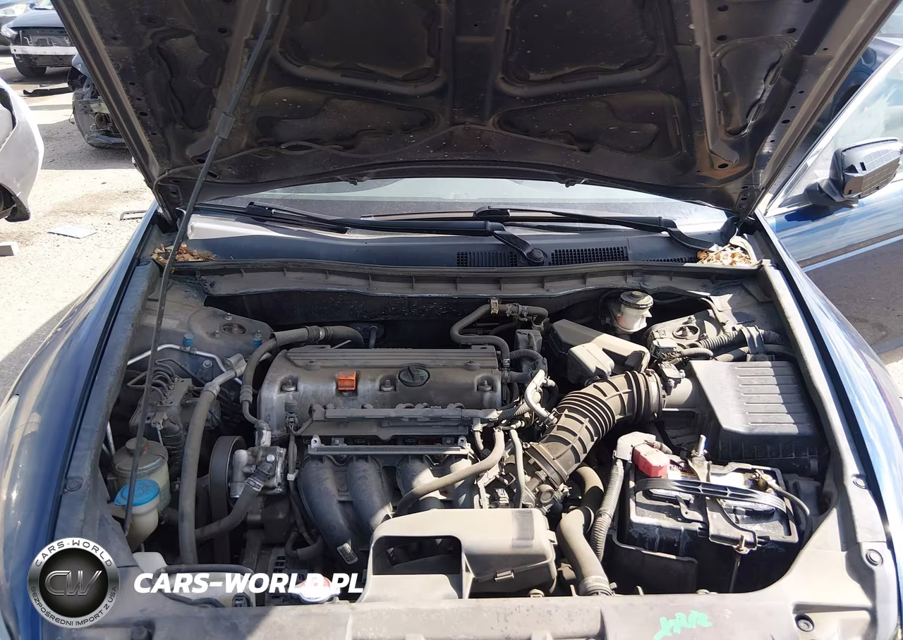 2010 Honda Accord 2.4 Lx VIN:1HGCP2F36AA002855 - 10