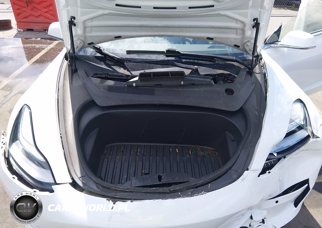 2020 Tesla Model 3 Standard Range Plus Rear-Wheel Drive-Standard Range Rear-Wheel Drive VIN:5YJ3E1EA2LF797878 - 10