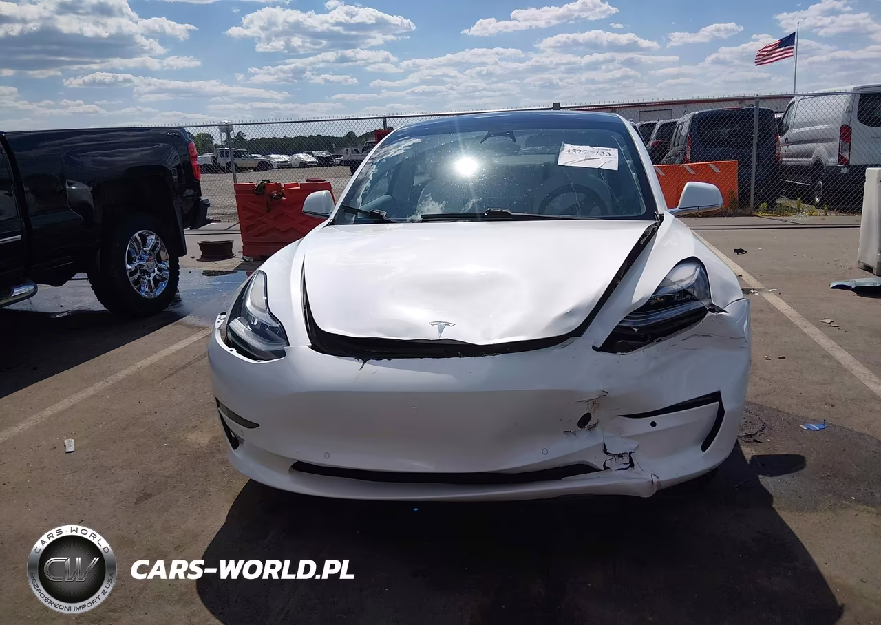 2020 Tesla Model 3 Standard Range Plus Rear-Wheel Drive-Standard Range Rear-Wheel Drive VIN:5YJ3E1EA2LF797878 - 11