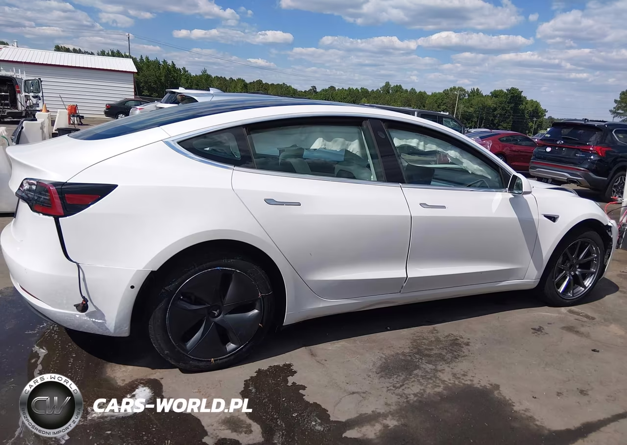 2020 Tesla Model 3 Standard Range Plus Rear-Wheel Drive-Standard Range Rear-Wheel Drive VIN:5YJ3E1EA2LF797878 - 12