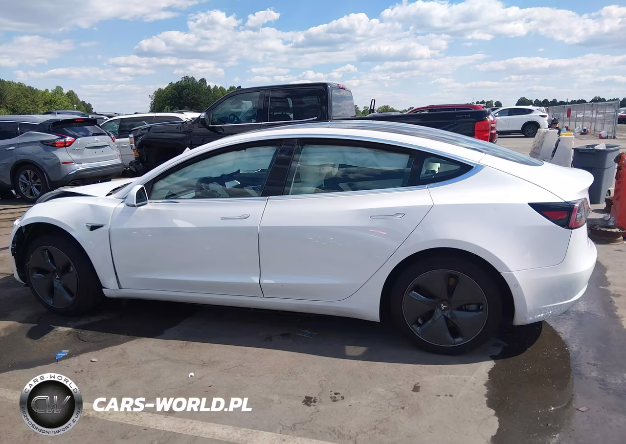 2020 Tesla Model 3 Standard Range Plus Rear-Wheel Drive-Standard Range Rear-Wheel Drive VIN:5YJ3E1EA2LF797878 - 13