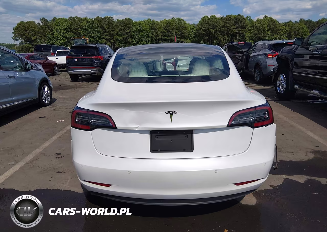 2020 Tesla Model 3 Standard Range Plus Rear-Wheel Drive-Standard Range Rear-Wheel Drive VIN:5YJ3E1EA2LF797878 - 15