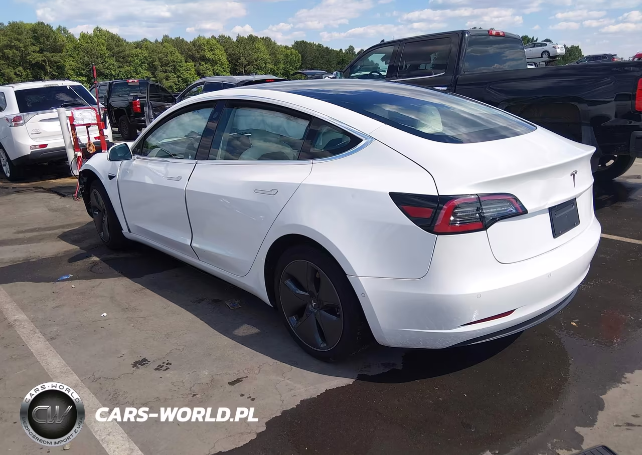 2020 Tesla Model 3 Standard Range Plus Rear-Wheel Drive-Standard Range Rear-Wheel Drive VIN:5YJ3E1EA2LF797878 - 3