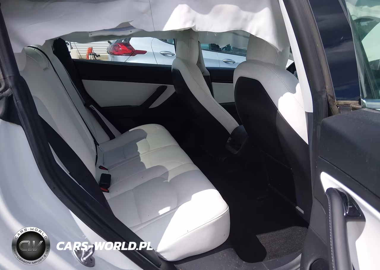 2020 Tesla Model 3 Standard Range Plus Rear-Wheel Drive-Standard Range Rear-Wheel Drive VIN:5YJ3E1EA2LF797878 - 8