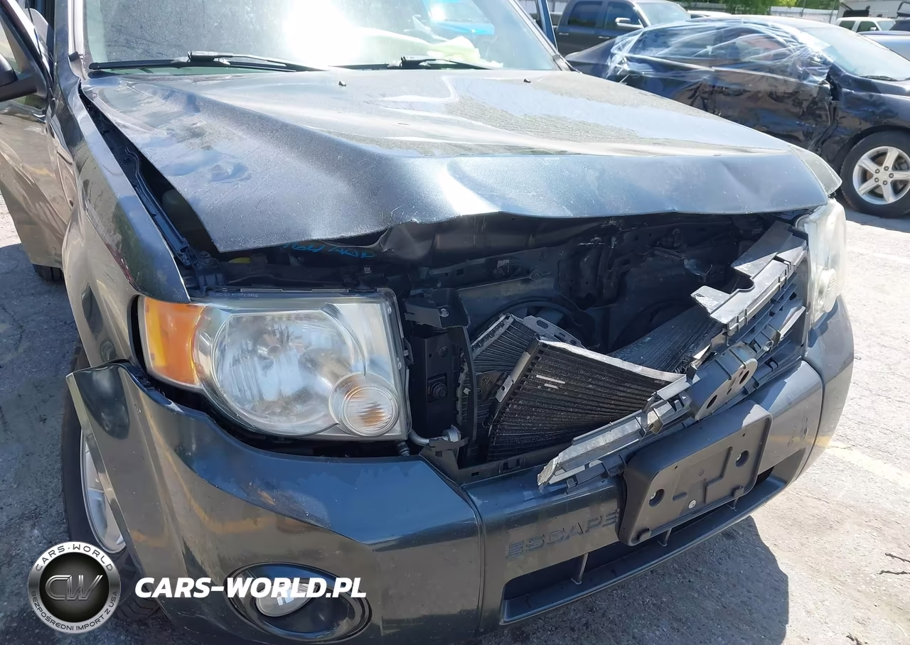 2009 Ford Escape Xlt VIN:1FMCU03759KA26004 - 6