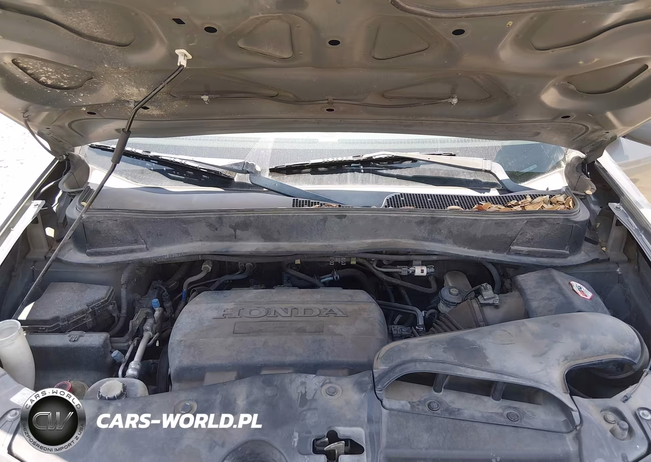 2009 Honda Pilot Touring VIN:5FNYF38889B019567 - 10
