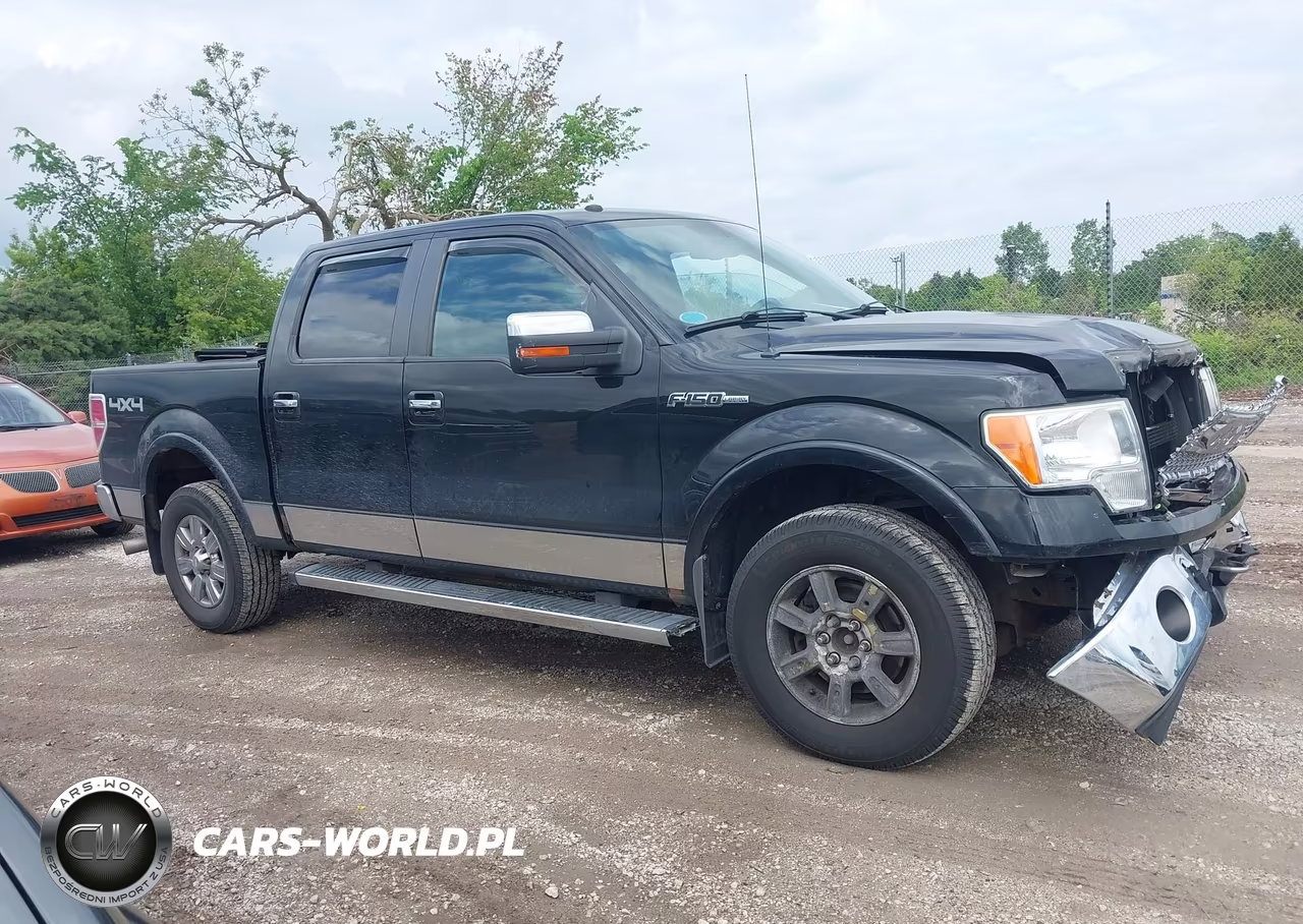 2010 Ford F-150 Fx4-Harley-Davidson-King Ranch-Lariat-Platinum-Xl-Xlt VIN:1FTFW1EV0AFB42589 - 13