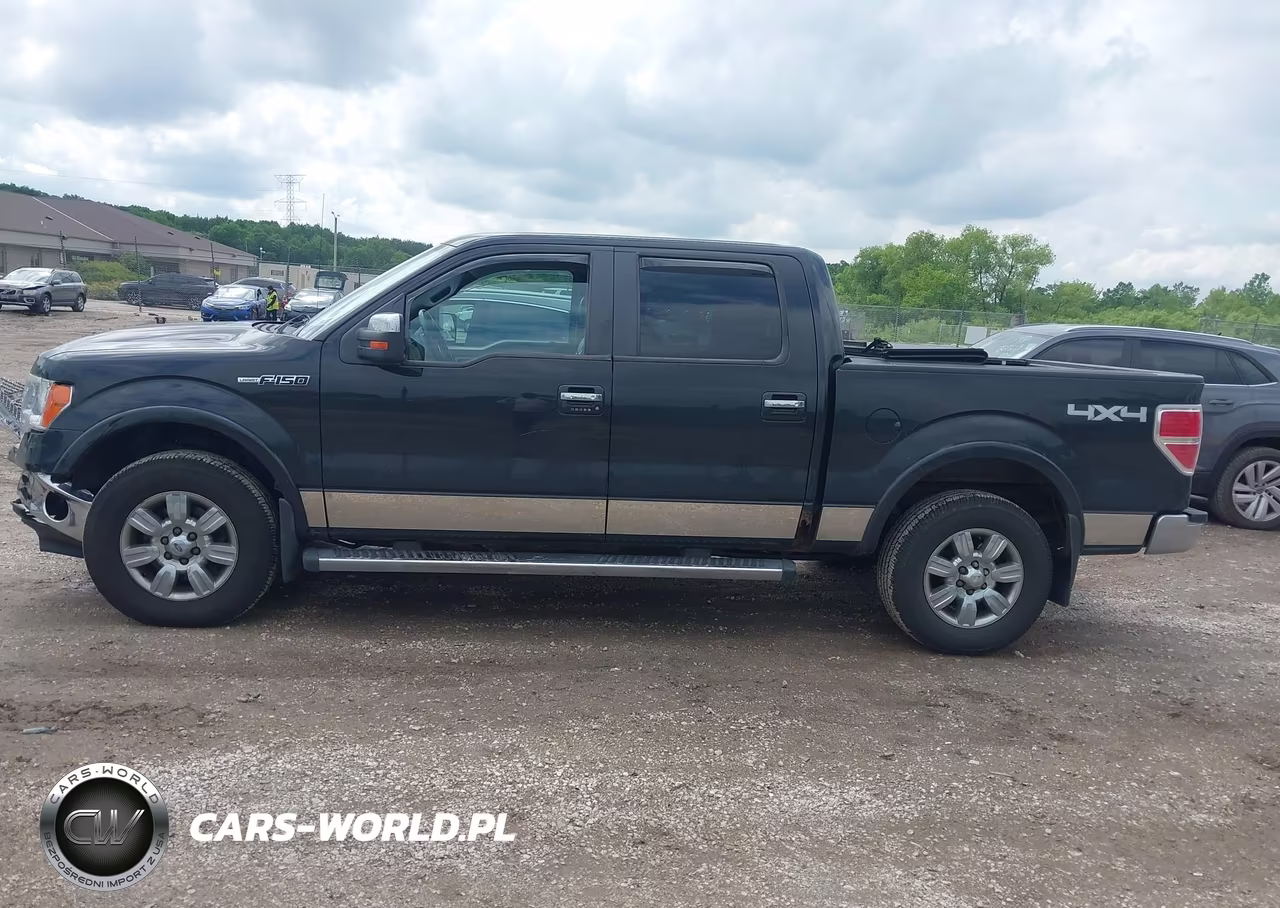 2010 Ford F-150 Fx4-Harley-Davidson-King Ranch-Lariat-Platinum-Xl-Xlt VIN:1FTFW1EV0AFB42589 - 14