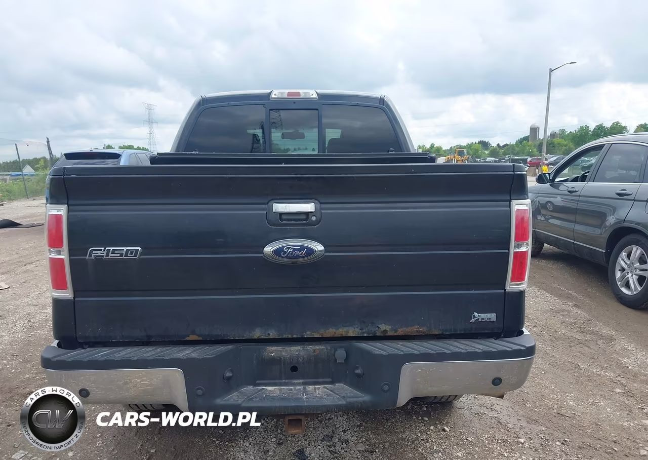 2010 Ford F-150 Fx4-Harley-Davidson-King Ranch-Lariat-Platinum-Xl-Xlt VIN:1FTFW1EV0AFB42589 - 16