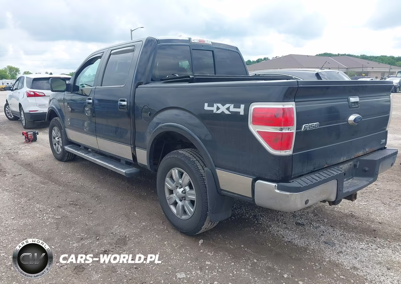 2010 Ford F-150 Fx4-Harley-Davidson-King Ranch-Lariat-Platinum-Xl-Xlt VIN:1FTFW1EV0AFB42589 - 3