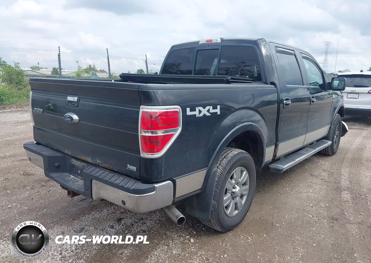 2010 Ford F-150 Fx4-Harley-Davidson-King Ranch-Lariat-Platinum-Xl-Xlt VIN:1FTFW1EV0AFB42589 - 4