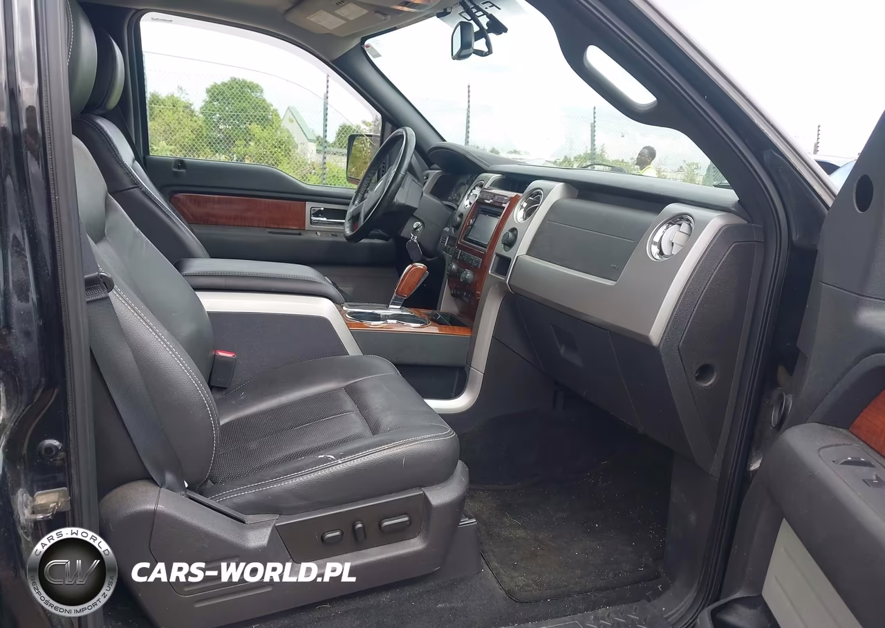 2010 Ford F-150 Fx4-Harley-Davidson-King Ranch-Lariat-Platinum-Xl-Xlt VIN:1FTFW1EV0AFB42589 - 5