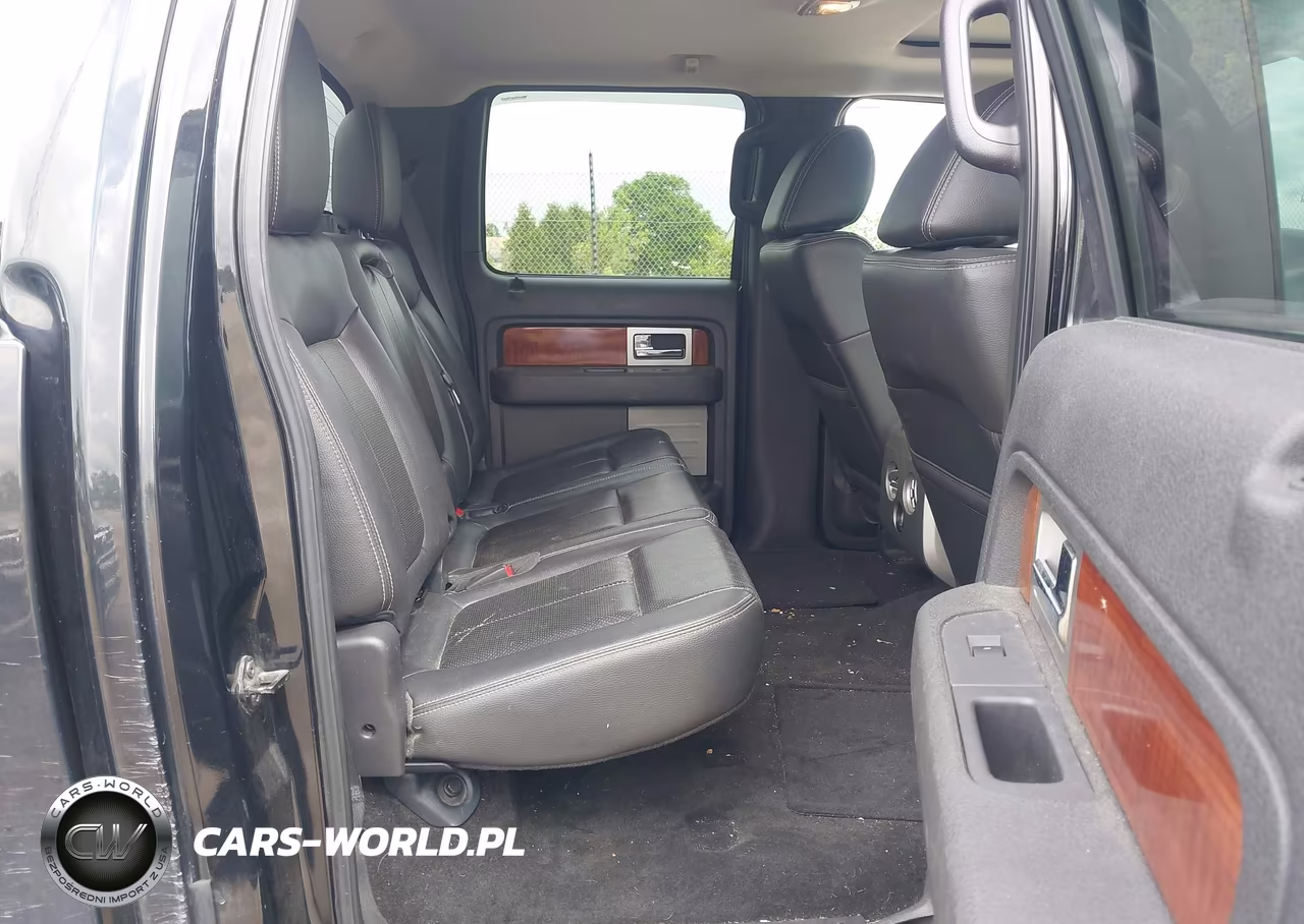 2010 Ford F-150 Fx4-Harley-Davidson-King Ranch-Lariat-Platinum-Xl-Xlt VIN:1FTFW1EV0AFB42589 - 8