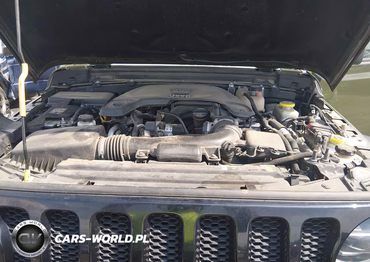 2021 Jeep Wrangler Unlimited Willys 4X4 VIN:1C4HJXDG7MW631301 - 10
