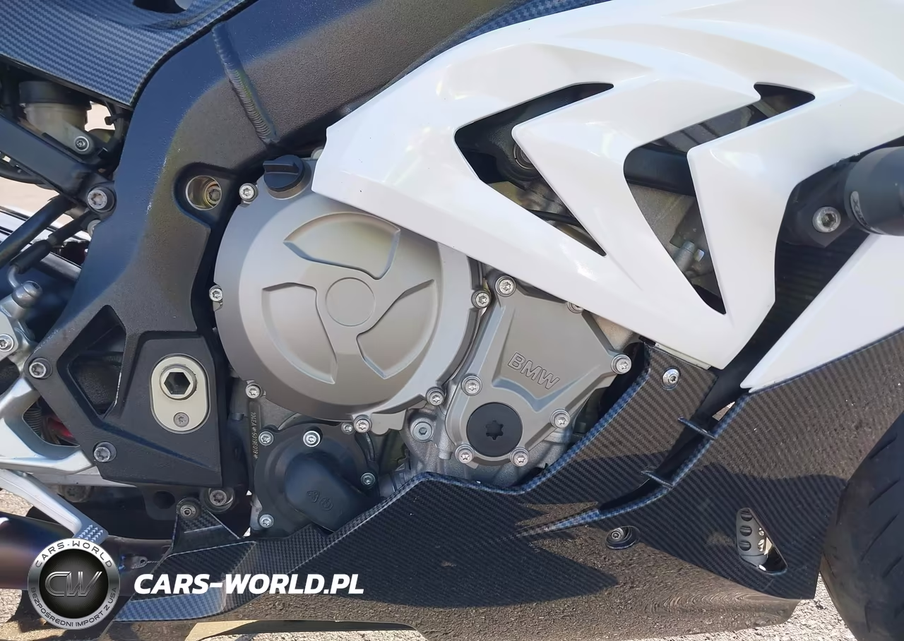 2016 BMW S 1000 Rr VIN:WB10D2102GZ353308 - 8
