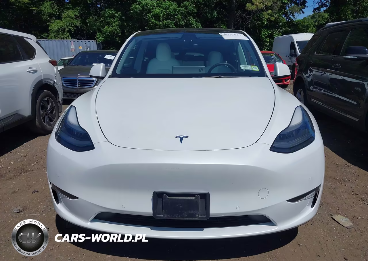 2021 Tesla Model Y Performance Dual Motor All-Wheel Drive VIN:5YJYGDEF4MF303972 - 12