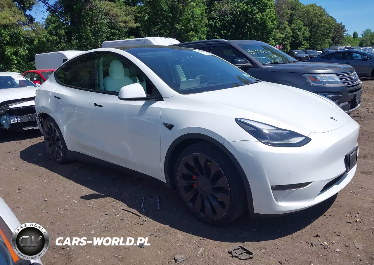 2021 Tesla Model Y Performance Dual Motor All-Wheel Drive VIN:5YJYGDEF4MF303972 - 13