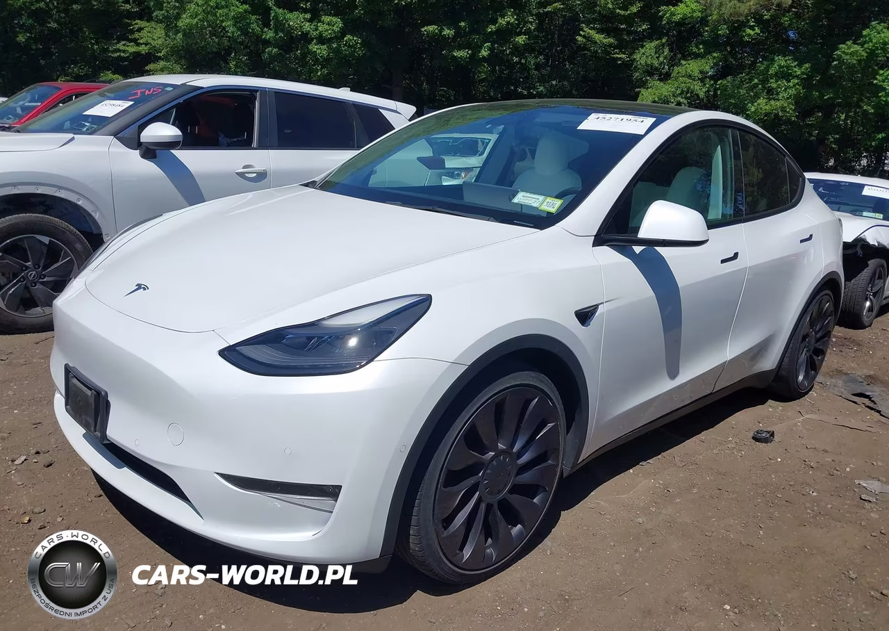 2021 Tesla Model Y Performance Dual Motor All-Wheel Drive VIN:5YJYGDEF4MF303972 - 2
