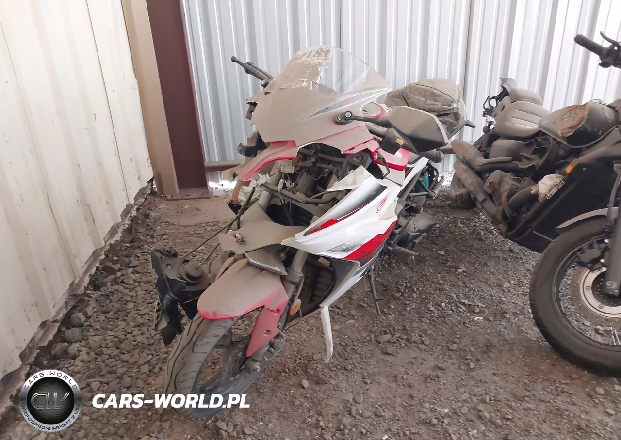2025 Dongfang 250 Mc VIN:LXDTCLRJ4S1090056 - 2