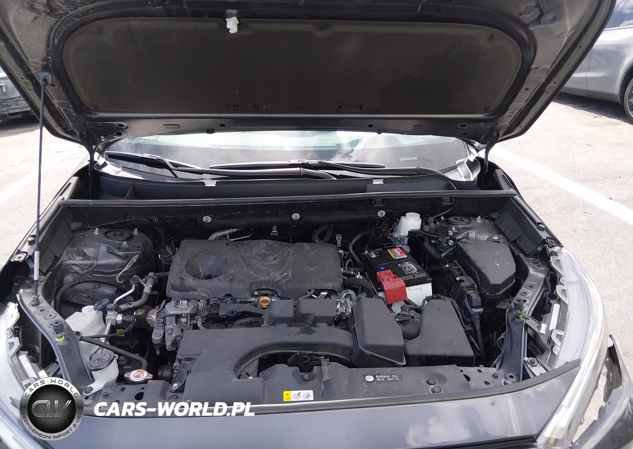 2024 Toyota Rav4 Xle VIN:2T3W1RFV4RW362291 - 10