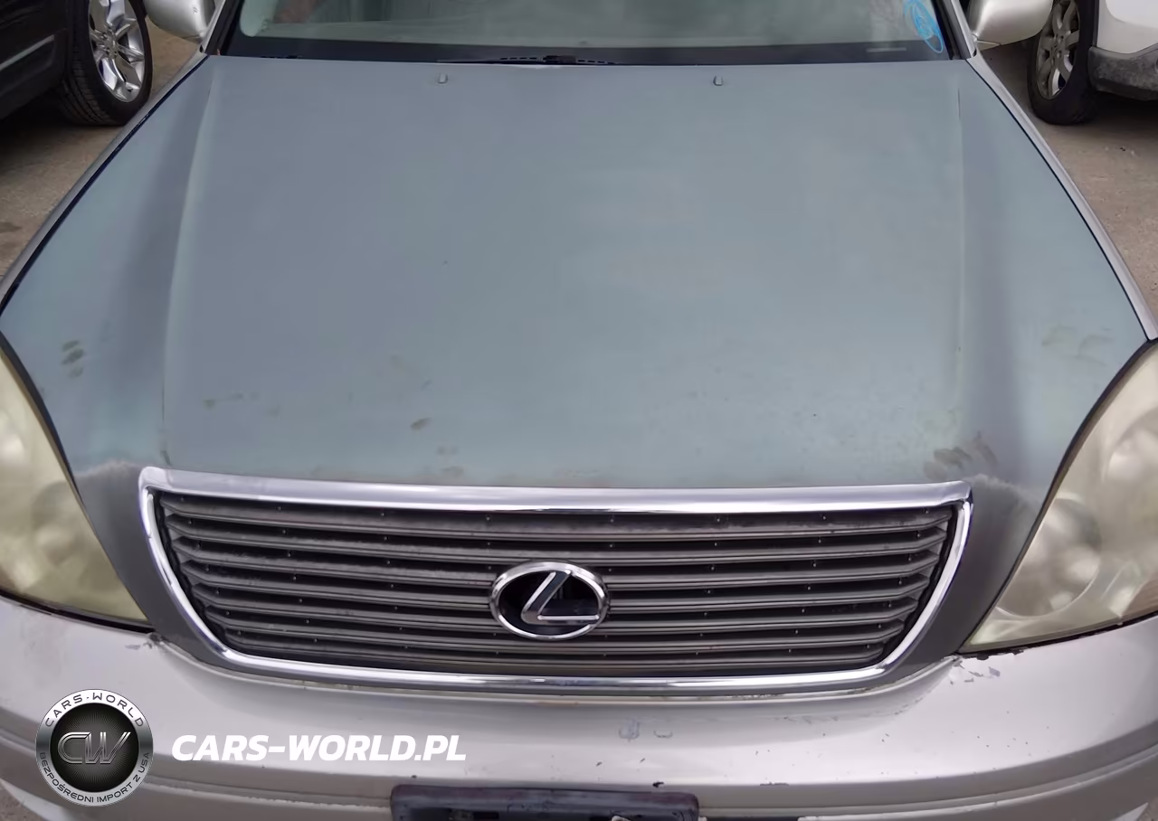2002 Lexus Ls 430 VIN:JTHBN30F520089873 - 10
