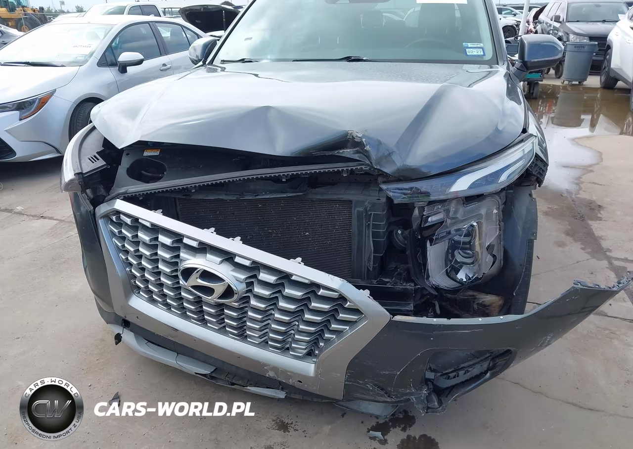 2021 Hyundai Palisade Sel VIN:KM8R4DHE9MU178583 - 6