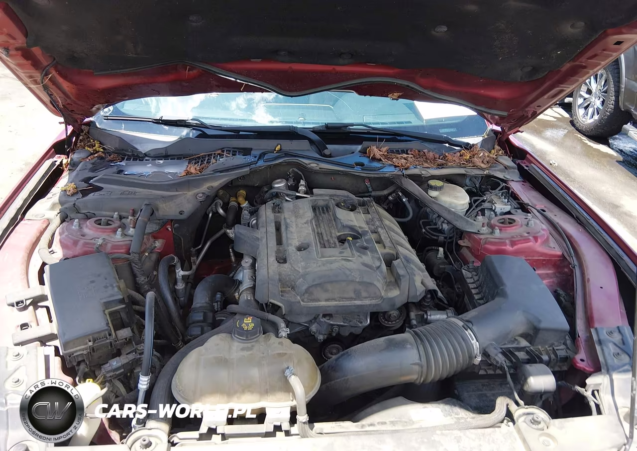 2016 Ford Mustang Ecoboost VIN:1FA6P8THXG5294466 - 10
