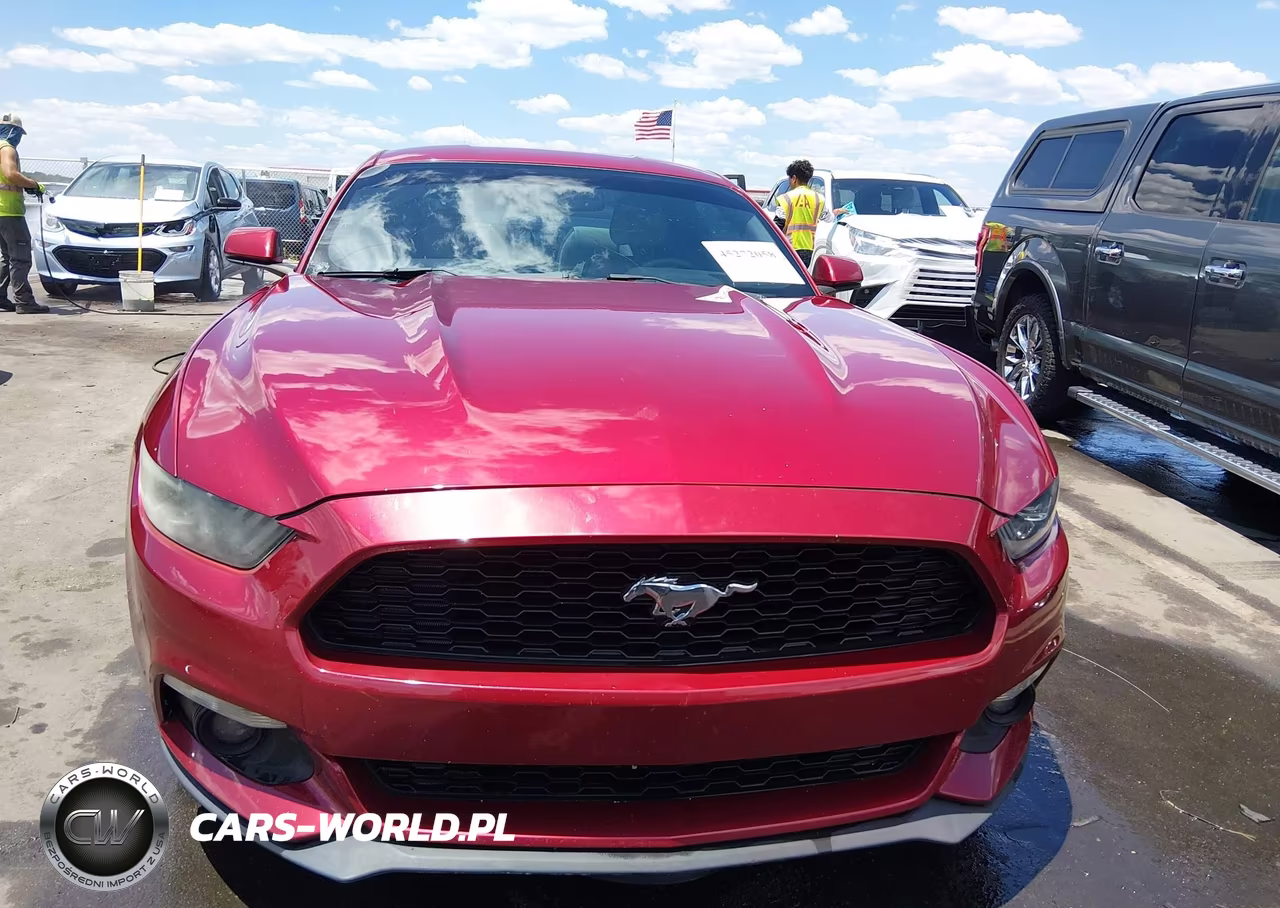 2016 Ford Mustang Ecoboost VIN:1FA6P8THXG5294466 - 13