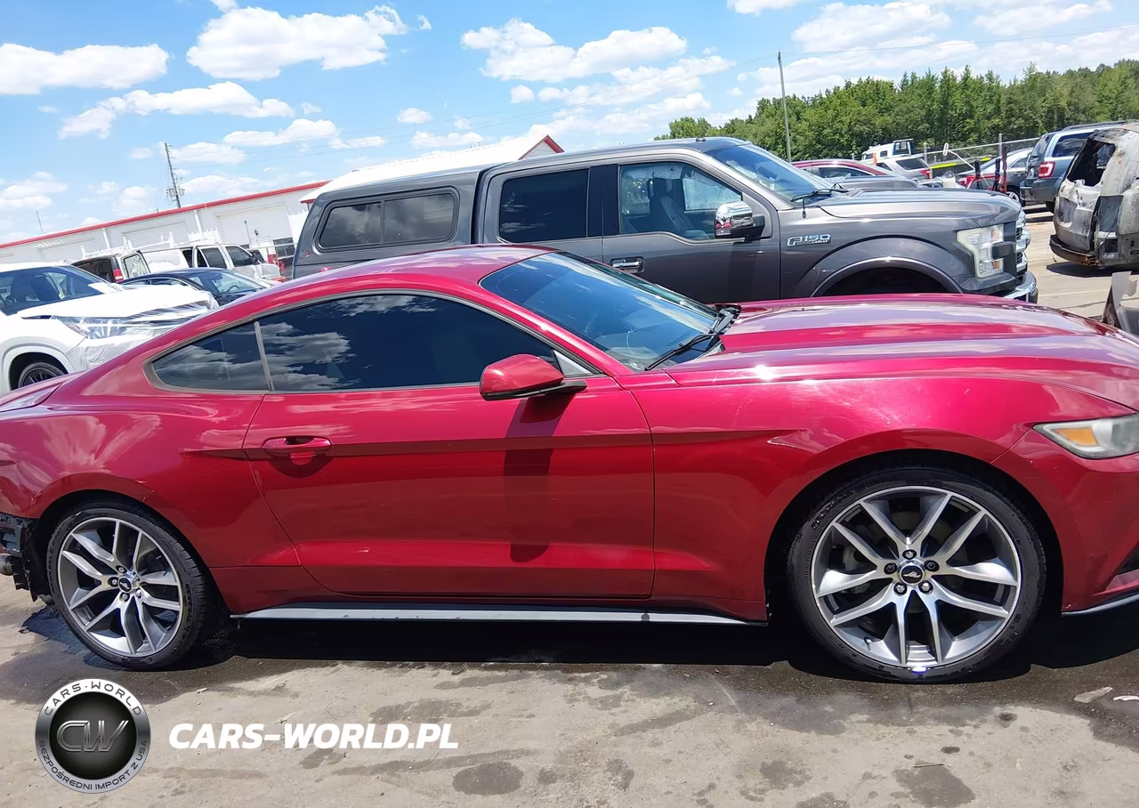 2016 Ford Mustang Ecoboost VIN:1FA6P8THXG5294466 - 14
