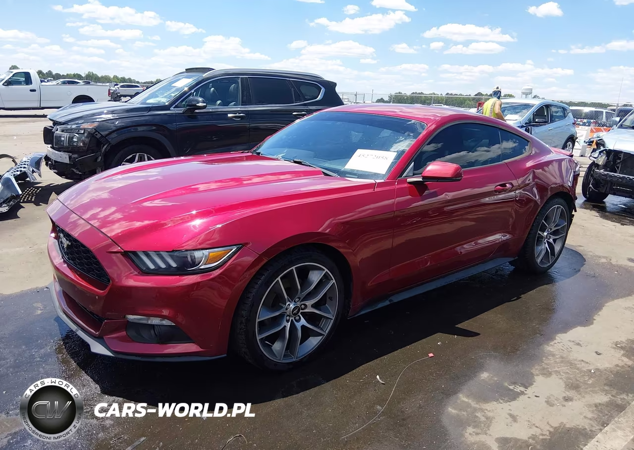 2016 Ford Mustang Ecoboost VIN:1FA6P8THXG5294466 - 2