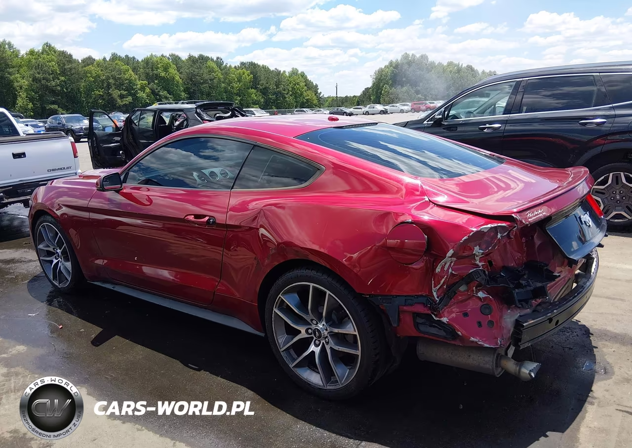 2016 Ford Mustang Ecoboost VIN:1FA6P8THXG5294466 - 3