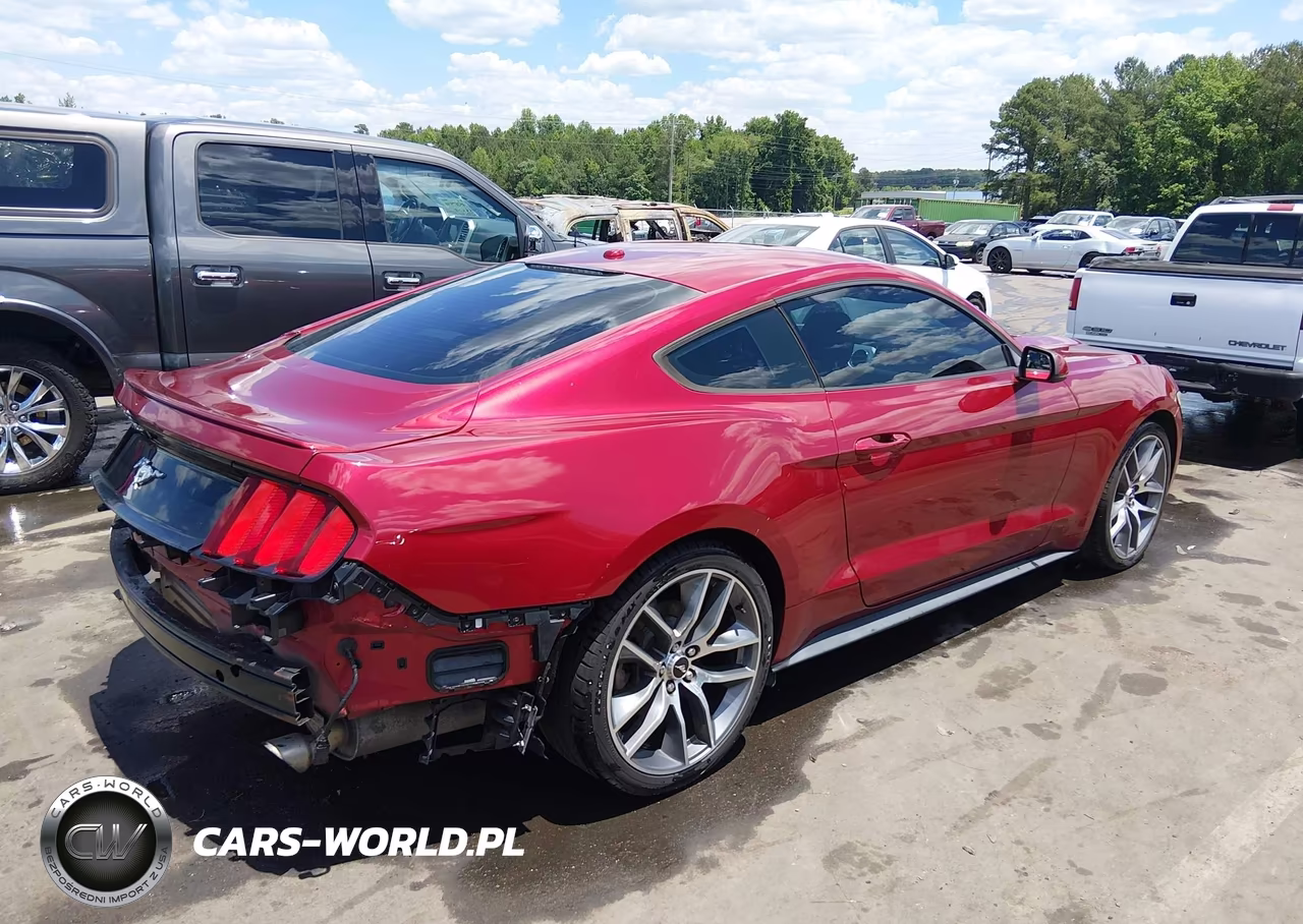 2016 Ford Mustang Ecoboost VIN:1FA6P8THXG5294466 - 4