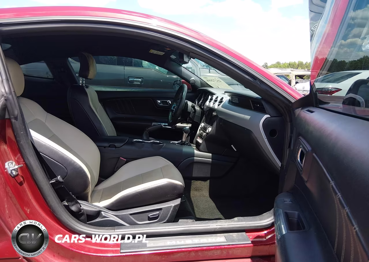 2016 Ford Mustang Ecoboost VIN:1FA6P8THXG5294466 - 5
