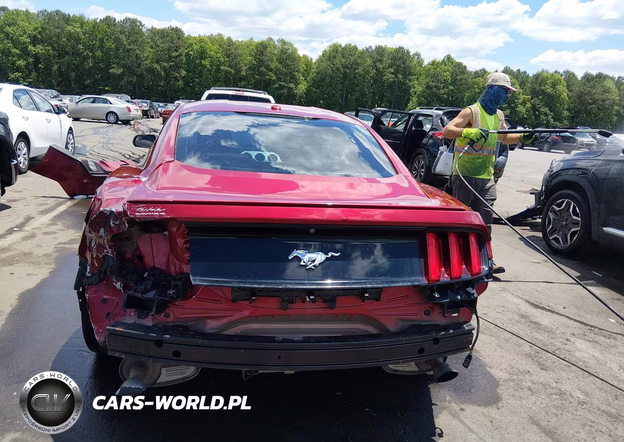 2016 Ford Mustang Ecoboost VIN:1FA6P8THXG5294466 - 6