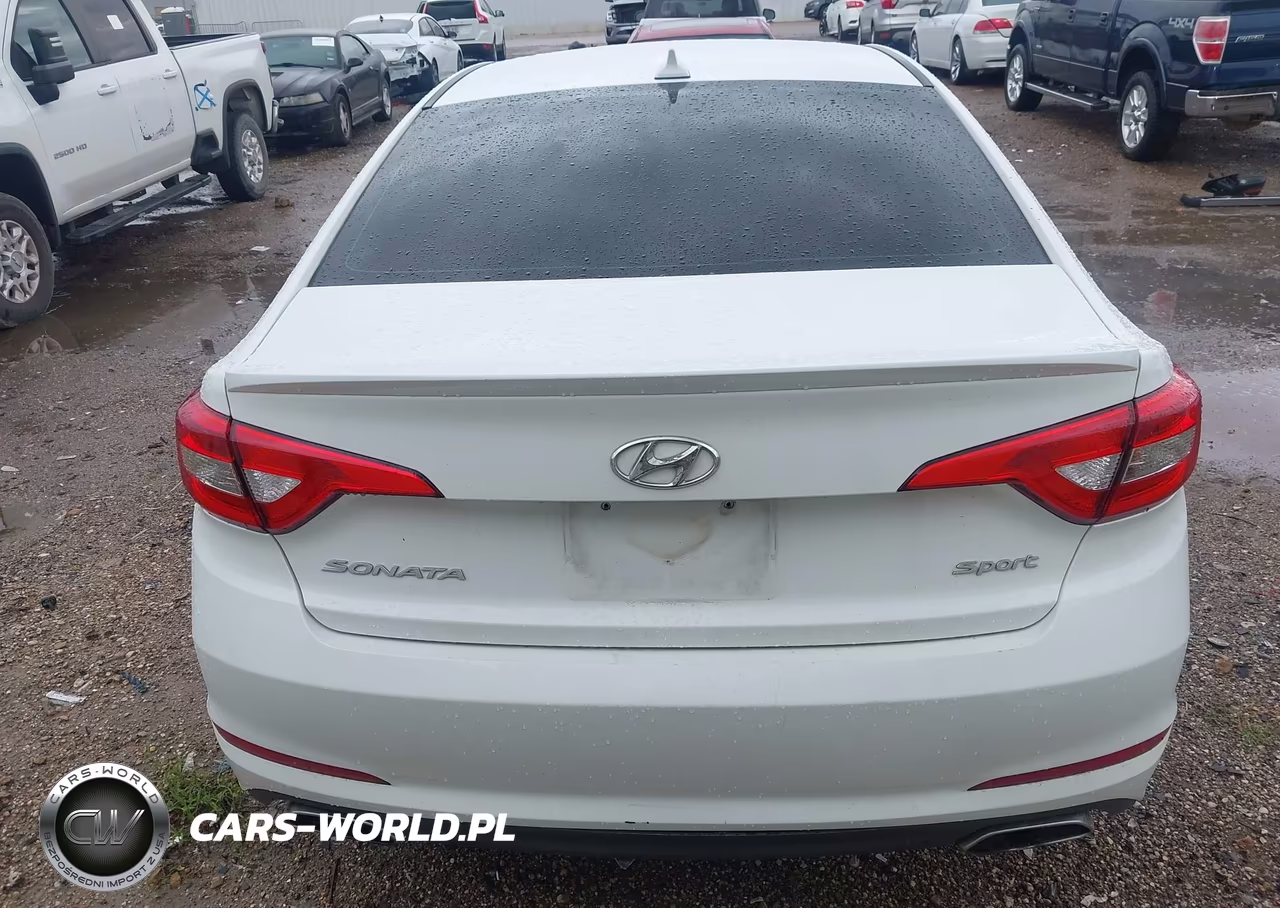 2016 Hyundai Sonata Sport VIN:5NPE34AF5GH349479 - 16