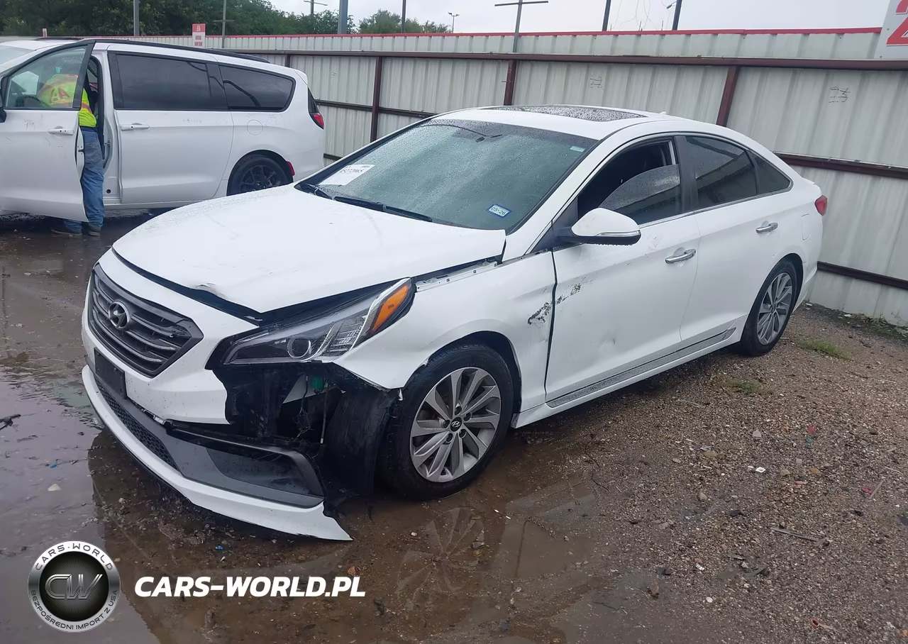 2016 Hyundai Sonata Sport VIN:5NPE34AF5GH349479 - 2