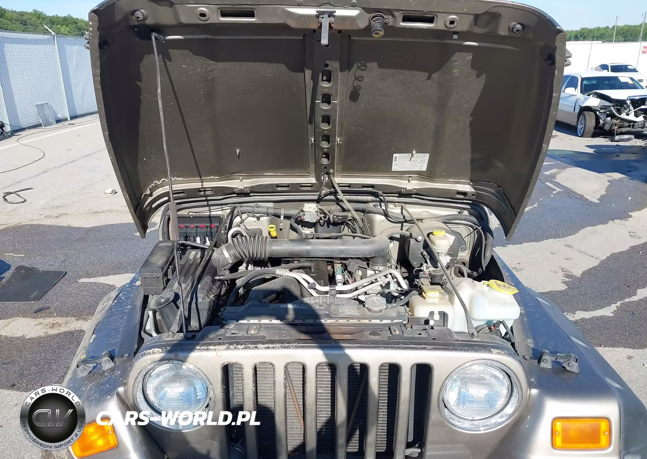 2006 Jeep Wrangler Se VIN:1J4FA29S56P786251 - 10
