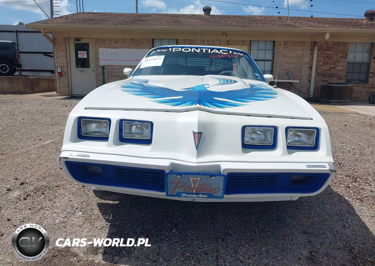 1980 Pontiac Firebird VIN:2W87TAL124634 - 12
