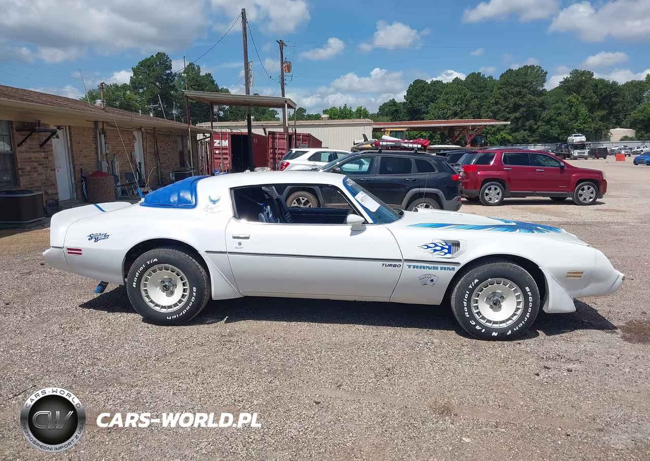 1980 Pontiac Firebird VIN:2W87TAL124634 - 13