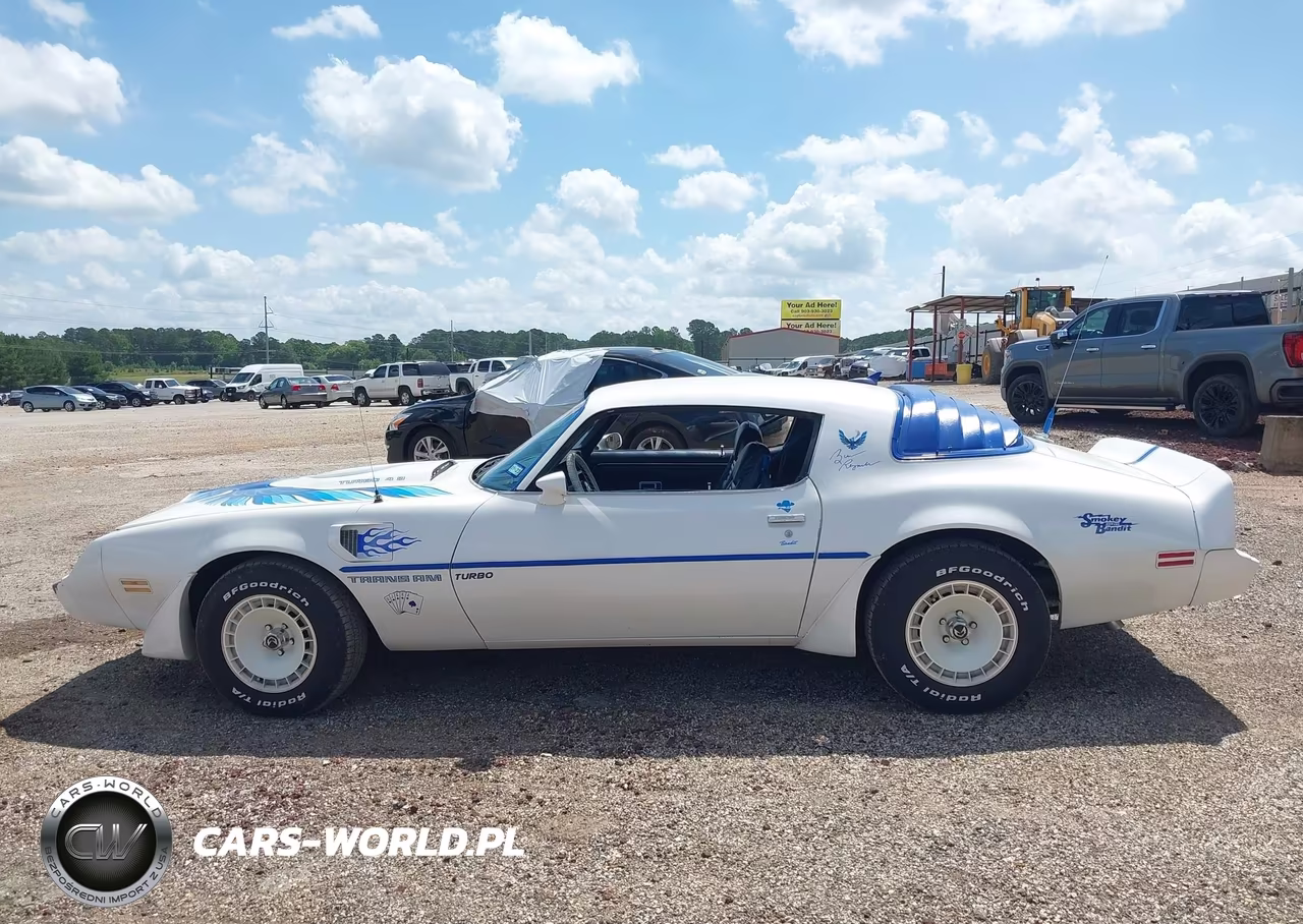 1980 Pontiac Firebird VIN:2W87TAL124634 - 14
