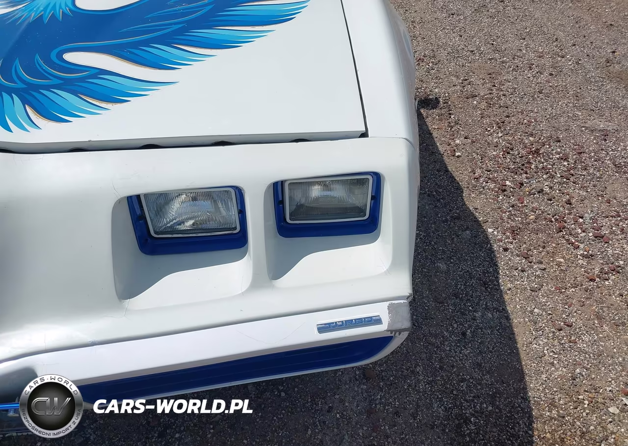 1980 Pontiac Firebird VIN:2W87TAL124634 - 17