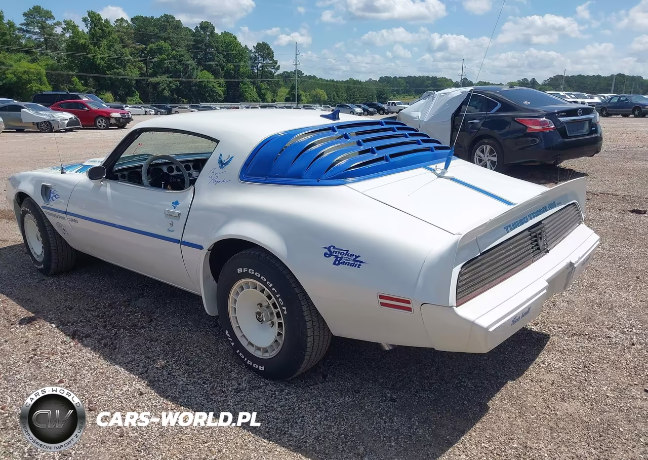 1980 Pontiac Firebird VIN:2W87TAL124634 - 3