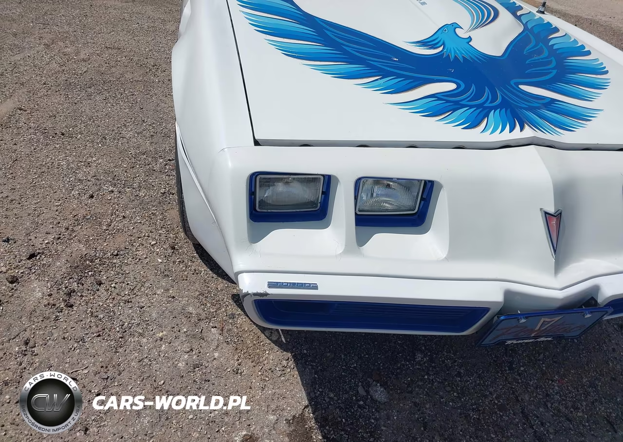 1980 Pontiac Firebird VIN:2W87TAL124634 - 6