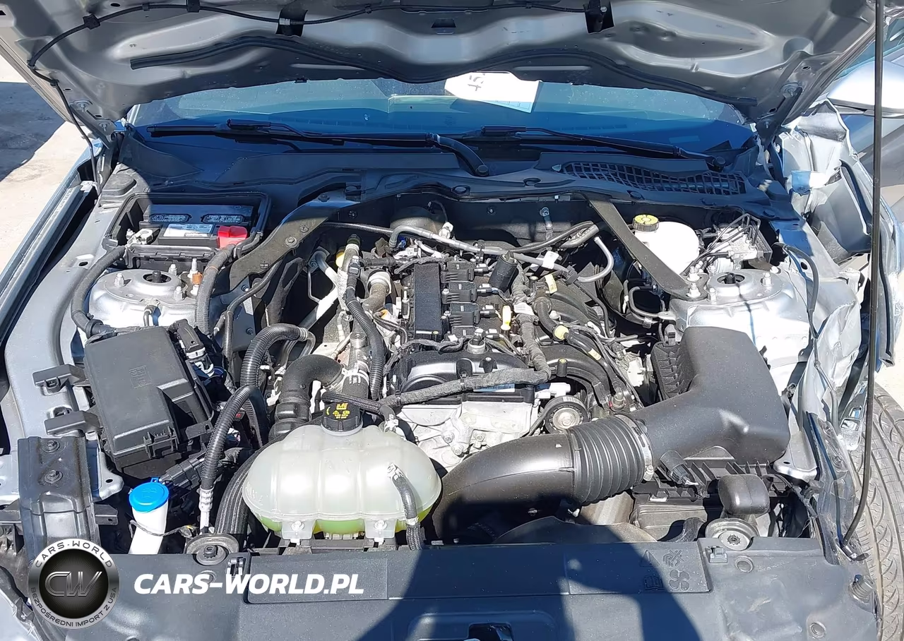 2022 Ford Mustang Ecoboost Premium VIN:1FATP8UH8N5120202 - 10
