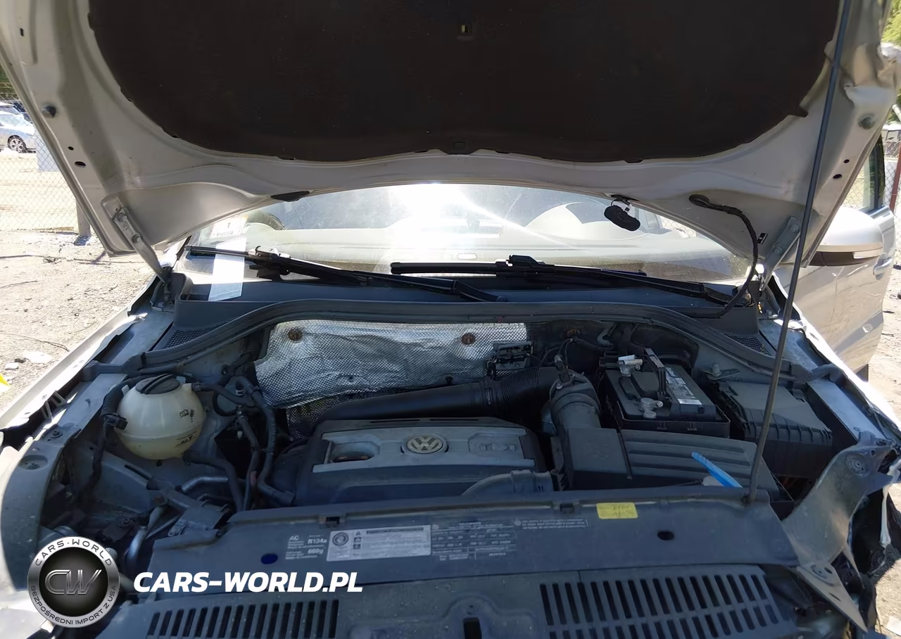 2011 Volkswagen Tiguan Se VIN:WVGBV7AXXBW524640 - 10